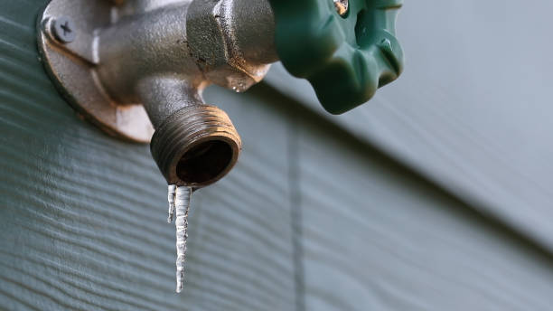 Best Plumbing Repair Near Me  in Green Village, NJ